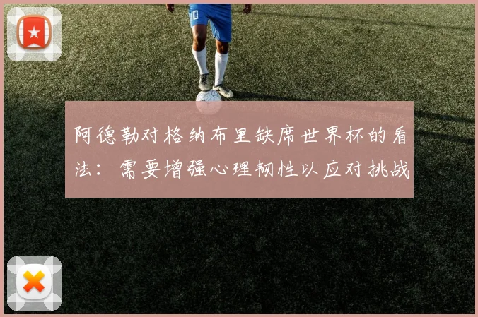 阿德勒对格纳布里缺席世界杯的看法：需要增强心理韧性以应对挑战