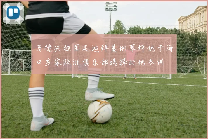 马德兴称国足迪拜基地草坪优于海口多家欧洲俱乐部选择此地冬训